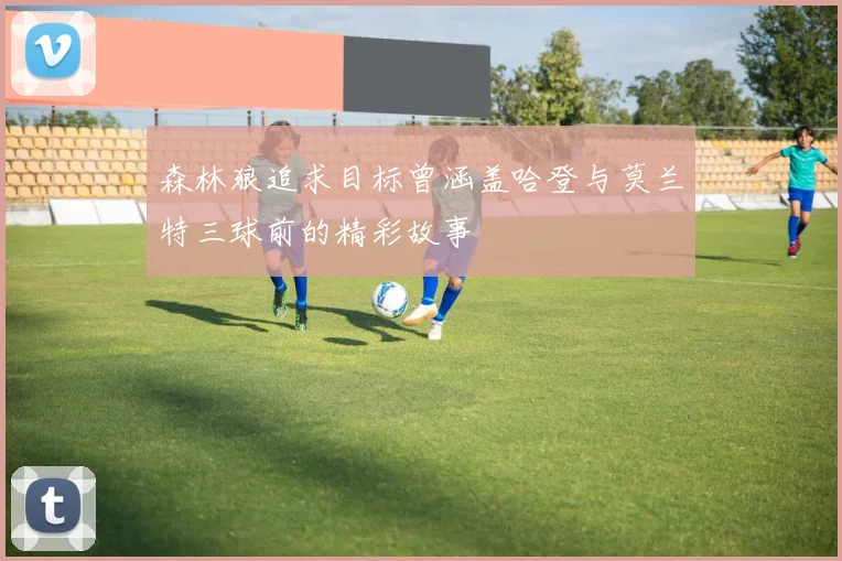 森林狼追求目标曾涵盖哈登与莫兰特三球前的精彩故事