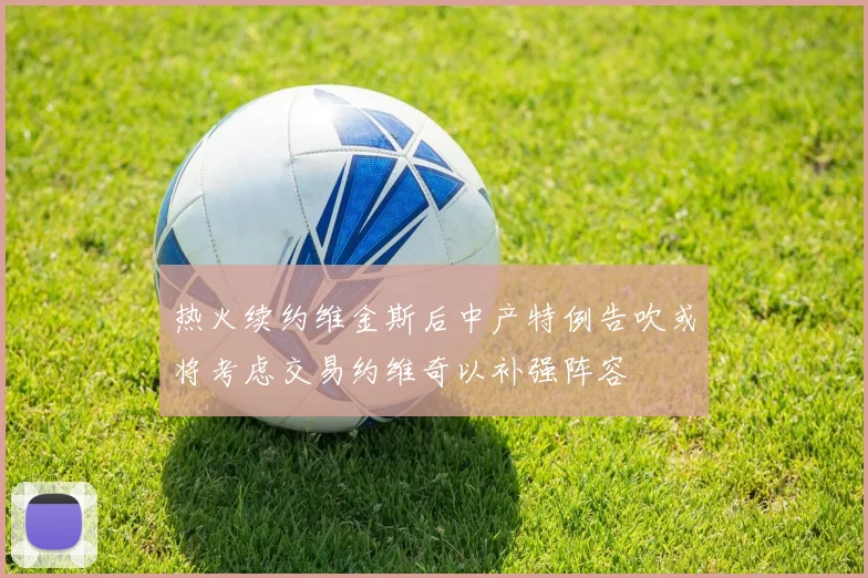 热火续约维金斯后中产特例告吹或将考虑交易约维奇以补强阵容
