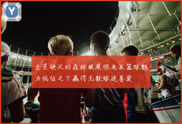 全员硬汉的森林狼展现老派篮球魅力低估之下赢得无数球迷喜爱